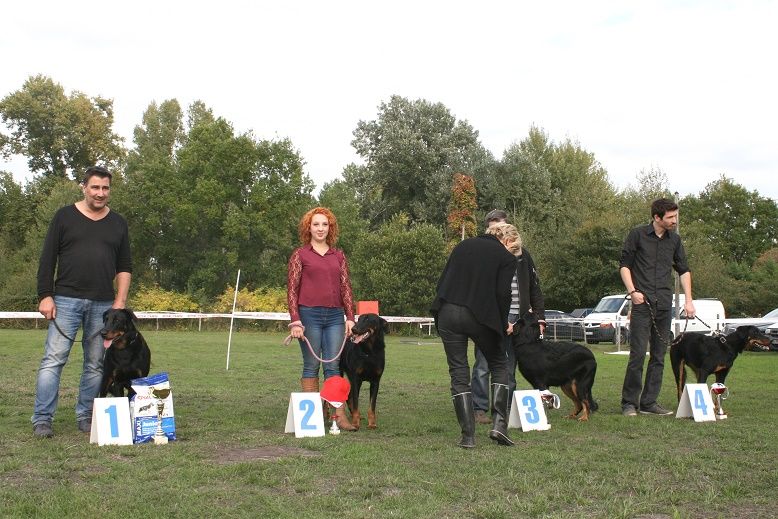 du Seize Thermidor - Morphée à la journée beauceronne de St André de Cubzac